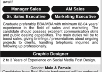 Real Estate Marketing Company Jobs